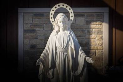 The Mystery of Champion