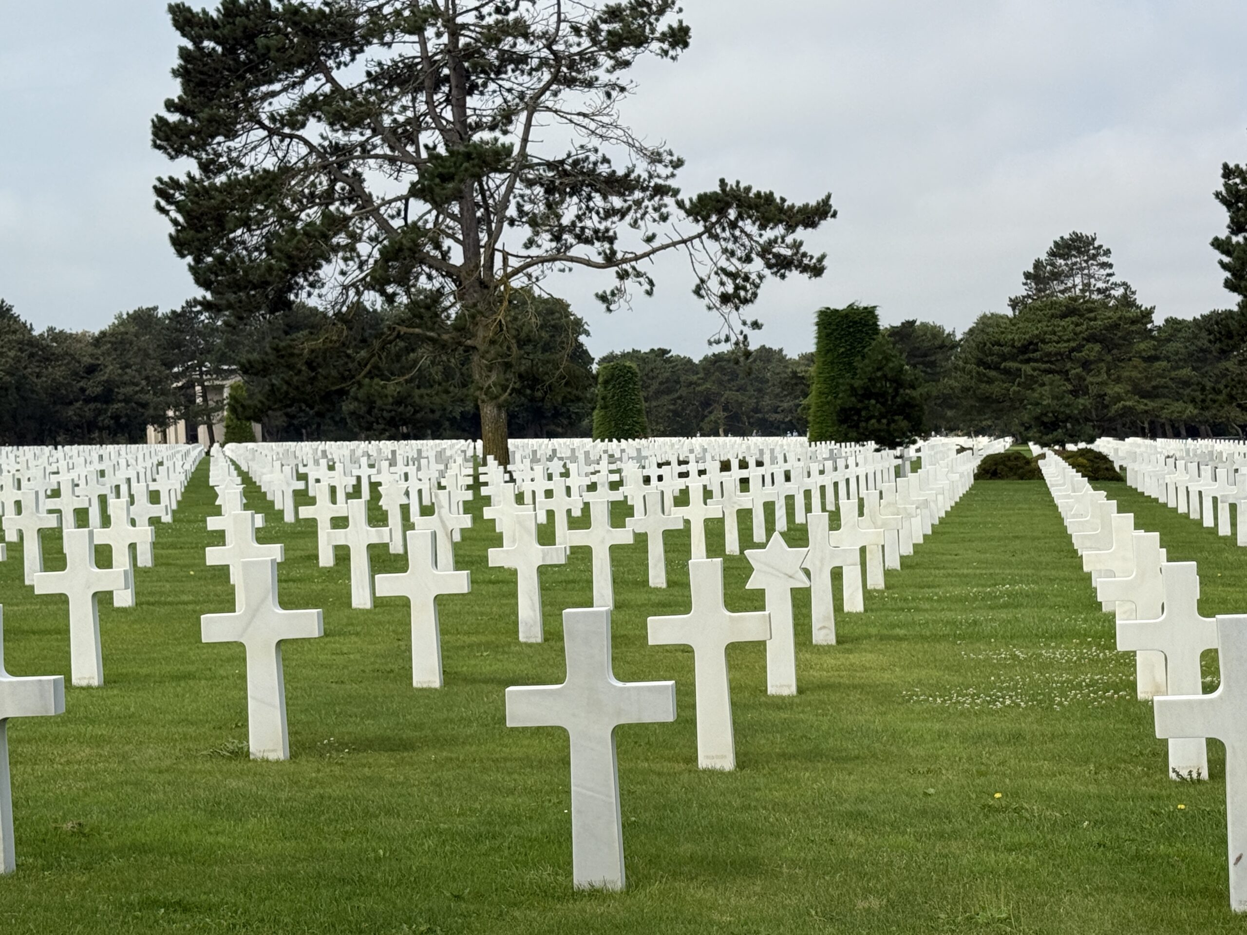 Teaser for “Normandy: 80 Years of Freedom”