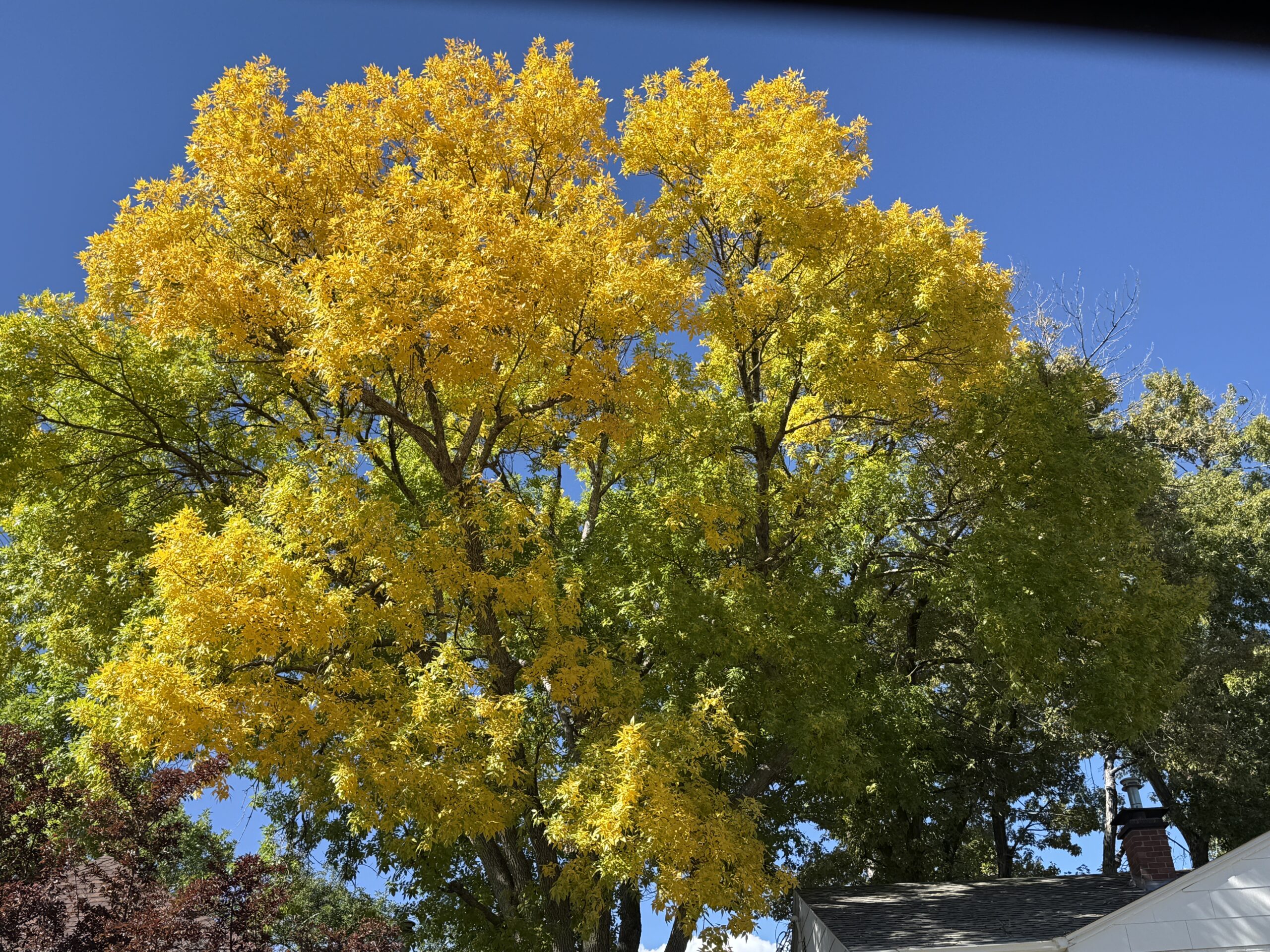 Fall, Cemeteries, Gardens, and the Resurrection