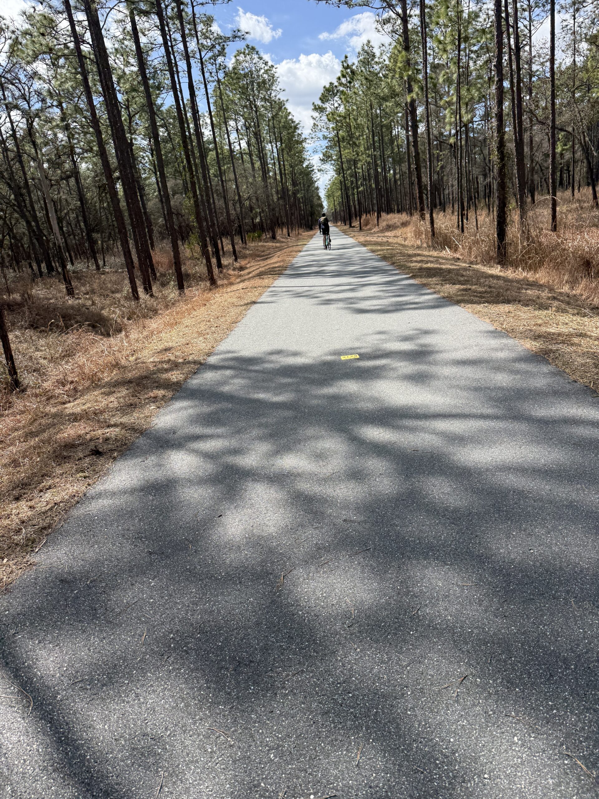 Travel News: Biking the Florida Coast to Coast Trail